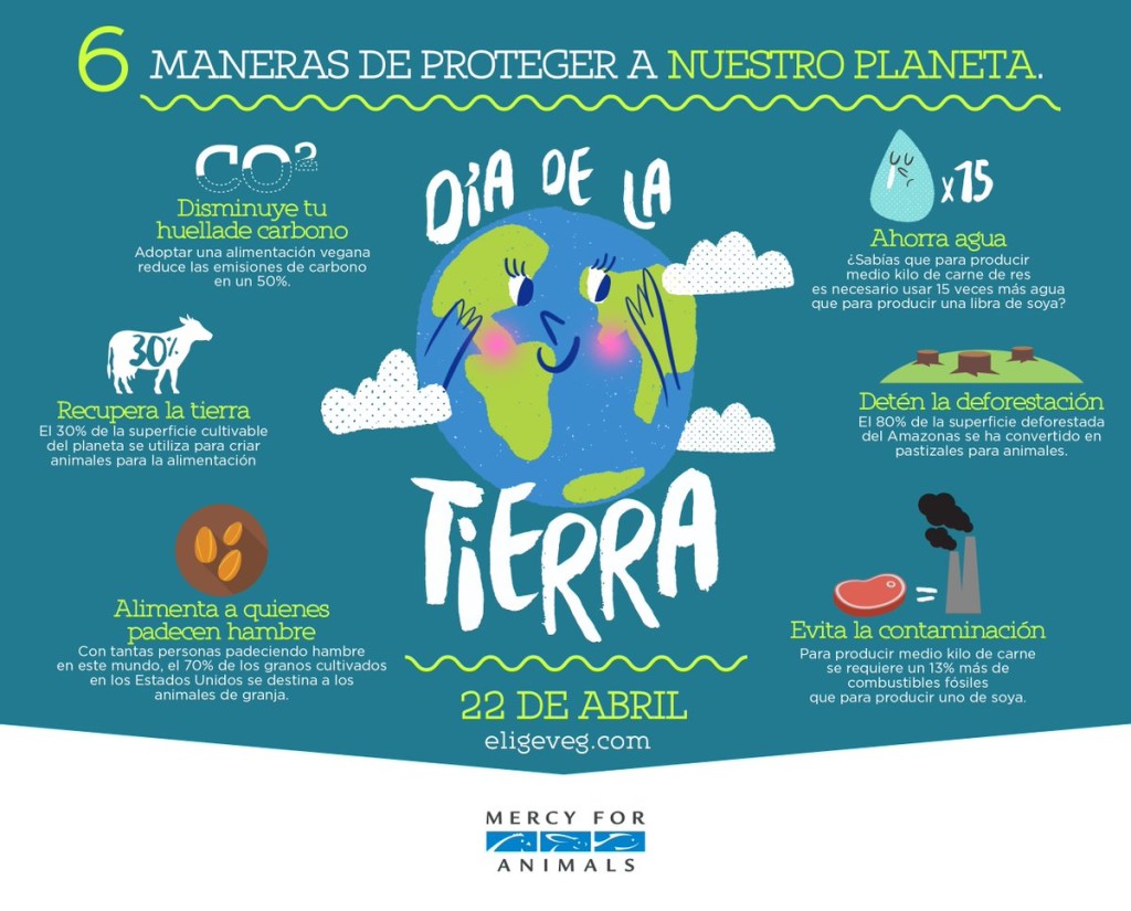 10 cosas que hacer para cuidar el planeta en el #DiaDeLaTierra | Rubén ...