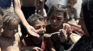 Captura de pantalla 2025 07 28 a la(s) 10.44.52 a.m.