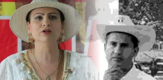 Diputada independiente