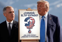 Proyecto nuevo (14)