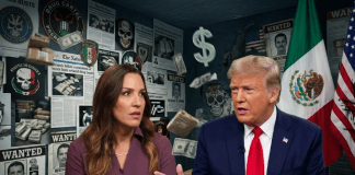 Sara Carter Advierte que Estados Unidos irá tras Políticos Mexicanos Ligados a Cárteles Proyecto nuevo (32)