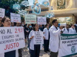 Proyecto nuevo (33)