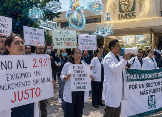 Proyecto nuevo (33)