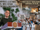 Proyecto nuevo (33)
