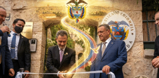 Proyecto nuevo (33)