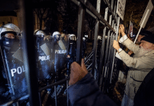 Proyecto nuevo (35)